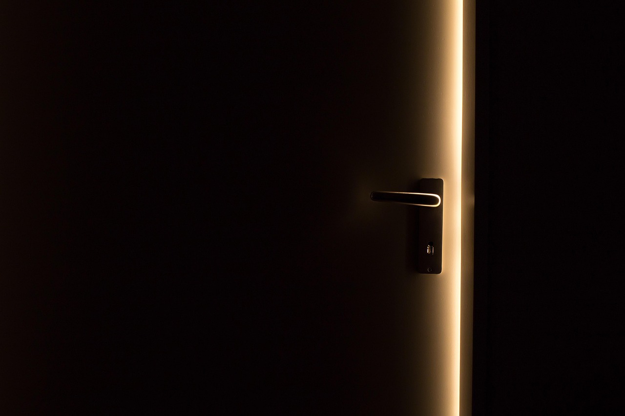 BORDERLINE (2/3). La porte de la chambre d'Alice